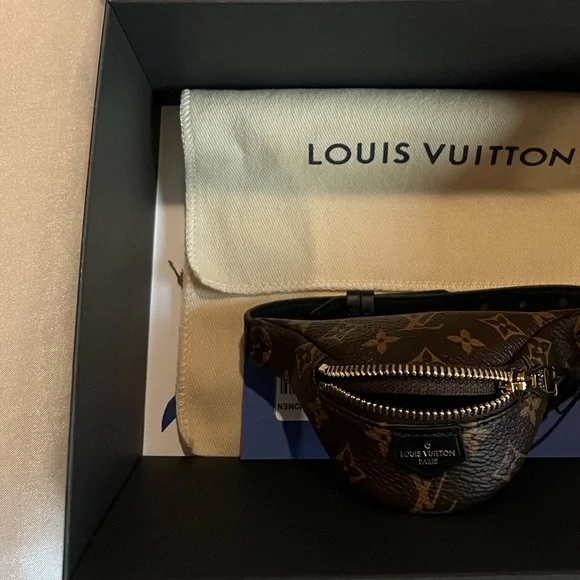 Louis Vuitton Party Bumbag Bracelet - Picture 4 of 10